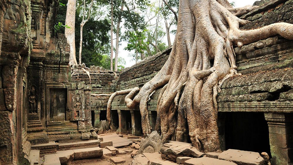 Ta Prohm temple